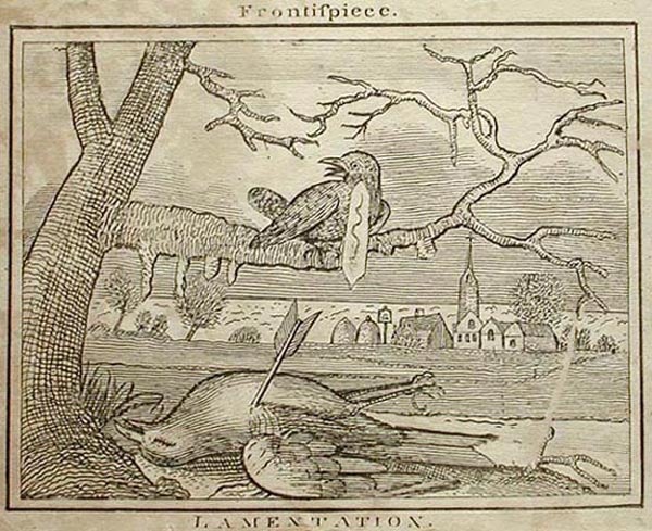 Item #001246 The Tragi-Comic History of the Burial of Cock Robin; with the Lamentation of Jenny Wren; the Sparrow's Apprehension; and the Cuckoo's Punishment