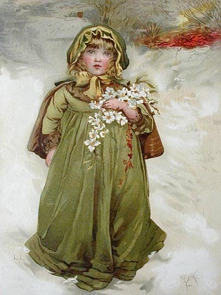 Christmas Roses