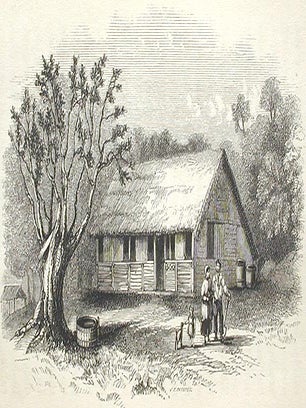 Pitcairn, the Island, the People, and the Pastor: with a Short Account of the Mutiny of the Bounty