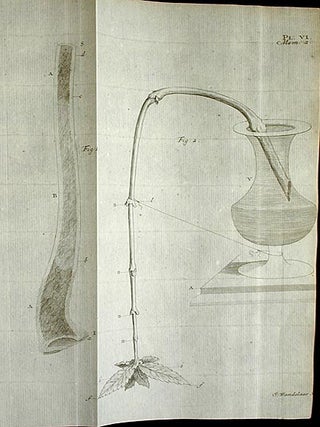 Recherches sur l'Usage des Feuilles dans les Plantes, et sur Quelques Autres Sujets Relatifs à l'Histoire de la Vegetation