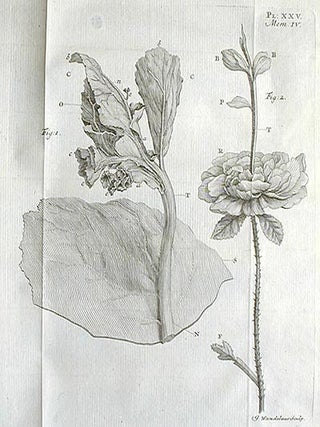 Recherches sur l'Usage des Feuilles dans les Plantes, et sur Quelques Autres Sujets Relatifs à l'Histoire de la Vegetation