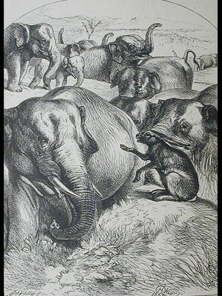 The Book of Good Counsels: From the Sanskrit of the "Hitopadesa"; by Edwin Arnold with illustrations by Harrison Weir