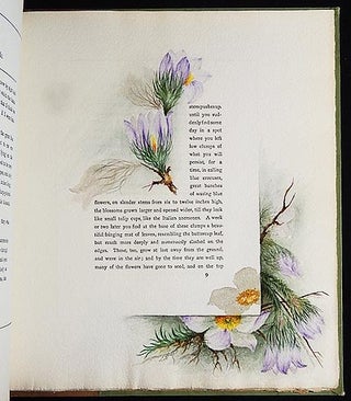 The Procession of Flowers in Colorado by Helen Jackson (H.H.); illustrated in water colors by Alice A. Stewart