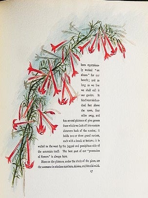 The Procession of Flowers in Colorado by Helen Jackson (H.H.); illustrated in water colors by Alice A. Stewart