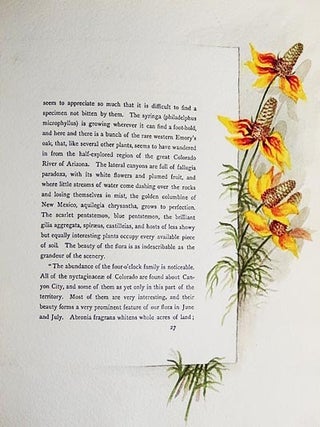 The Procession of Flowers in Colorado by Helen Jackson (H.H.); illustrated in water colors by Alice A. Stewart