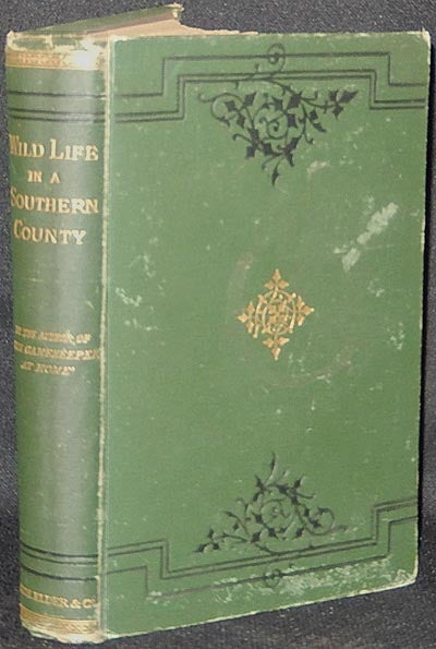 Item #003304 Wild Life in a Southern County. Richard Jefferies.
