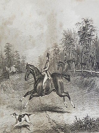 The Pocket and the Stud: or Practical Hints on the Management of the Stable