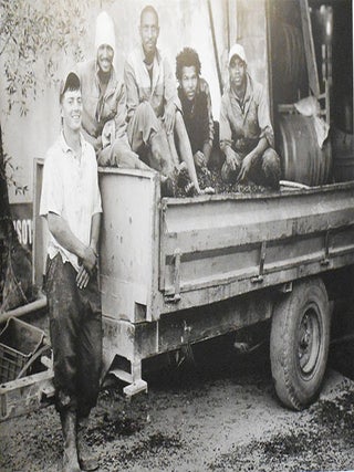 Stellenbosch -- Op die Drumpel; photographs by Charles Biggs