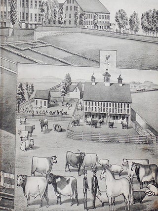 View of York County Alms House