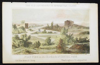 Item #004313 Fort Fish on the Northside of Central Park [chromolithograph from Valentine's Manual...
