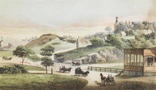 Terminus of the Main Drive in Central Park, 110th St. [chromolithograph from Valentine's Manual of the Corporation of the City of New York]