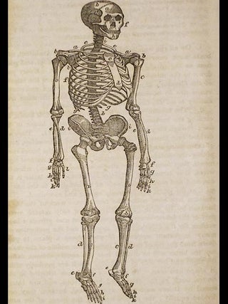 Human Physiology, for the Use of Elementary Schools