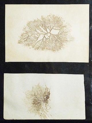 A Collection of the Works of that Ancient, Faithful Servant of Jesus Christ, Thomas Chalkley, Who departed this Life in the Island of Tortola, the Fourth Day of the Ninth Month, 1741. To which is prefixed, A Journal of his Life, Travels, and Christian Experiences, written by himself