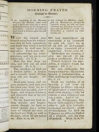 Leabhar a Nurnaighe Comhchoitchionn = The Book of Common Prayer, and Admnistration of the Sacraments and Other Rites and Ceremonies of the Church, According to the Use of the United Church of England and Ireland; Together with the Psalter or Psalms of David, Pointed as They are to be Sung or Said in Churches, and the Thirty-Nine Articles of Religion