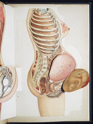 Geheimnisse der Zeugung und das Geschlechtsleben des Menschen: . . . Nach den neuesten Erfahrungen der medizinischen Wissenschaft unter Berücksichtigung der arzneilosen Heilweise dargestellt für Nichtstudierte von Dr. med. Kress; Vervollkommnet von Dr. med. Retau und Dr. med. Roscher
