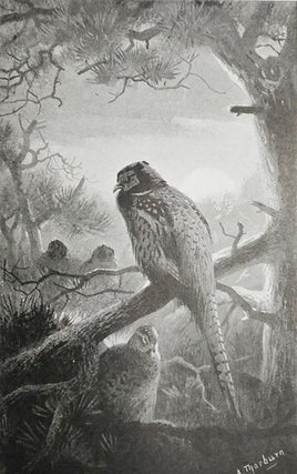 The Pheasant: Natural History by the Rev. H. A. MacPherson; Shooting by A. J. Stuart-Wortley; Cookery by Alexander Innes Shand; With Illustrations by A. Thorburn