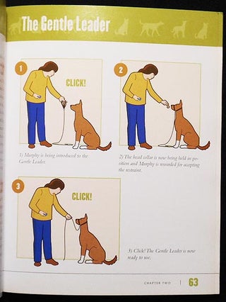 Click! Dog Training System: The Easiest, Most Effective Way to Train Your Dog