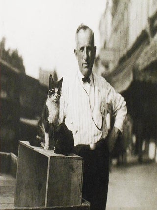 The Cat in Photography