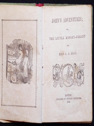 John's Adventures; or, The Little Knight-Errant by Miss A. A. Gray