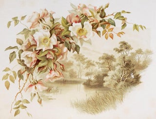 Gems set by Tennyson; Illustrated by Bertha Maguire and Bessie Nichol