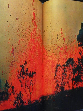 Item #007005 The Violent Earth. Frank W. Lane