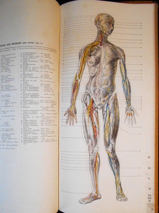 Der Menschliche Körper (Mann und Weib) in 54 farbigen anatomischen Tafeln und zerlegbaren Modellen -- Atlas [illustration volume only]