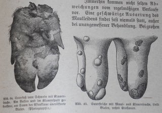 Haubners Landwirtschaftliche Tierheilkunde