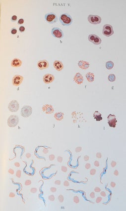 Methoden der Chemische en Microscopische Diagnostiek
