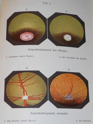 Lehrbuch der Augenheilkunde für Tierärzte