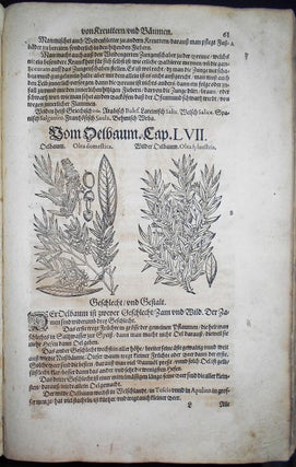 Kreutterbuch Jetz Hochgelehrten und Weitherühmbten Herrn D. Petri Andreae Matthioli