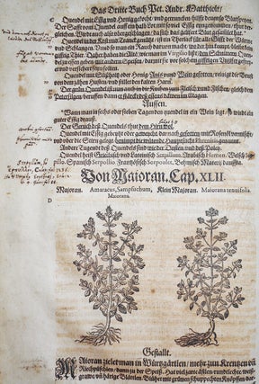 Kreutterbuch Jetz Hochgelehrten und Weitherühmbten Herrn D. Petri Andreae Matthioli