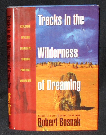 Item #009256 Tracks in the Wilderness of Dreaming: Exploring Interior Landscape Through Practical Dreamwork. Robert Bosnak.