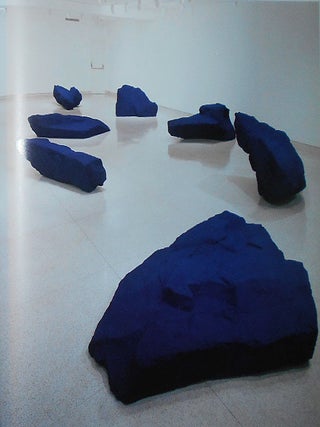 Anish Kapoor; Lynda Forsha with an essay by Pier Luigi Tazzi