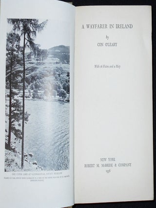 A Wayfarer in Ireland by Con O'Leary