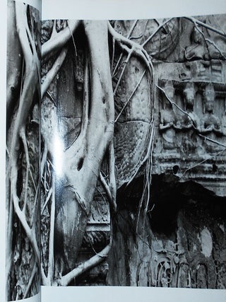 Touching the Mekong: Photographs by Andrea Baldeck