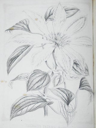 The Horticulturist and Journal of Rural Art and Rural Taste: Devoted to Horticulture, Landscape Gardening, Rural Architecture, Botany, Pomology, Entomology, Rural Economy, &c.; Conducted by J. Jay Smith -- New Series vol. 7 -- Jan. to Dec. 1857