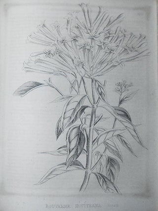 The Horticulturist and Journal of Rural Art and Rural Taste: Devoted to Horticulture, Landscape Gardening, Rural Architecture, Botany, Pomology, Entomology, Rural Economy, &c.; Conducted by J. Jay Smith -- New Series vol. 7 -- Jan. to Dec. 1857