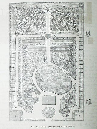 The Horticulturist and Journal of Rural Art and Rural Taste: Devoted to Horticulture, Landscape Gardening, Rural Architecture, Botany, Pomology, Entomology, Rural Economy, &c.; Edited by A. J. Downing -- vol. 3 -- July 1848 to June 1849
