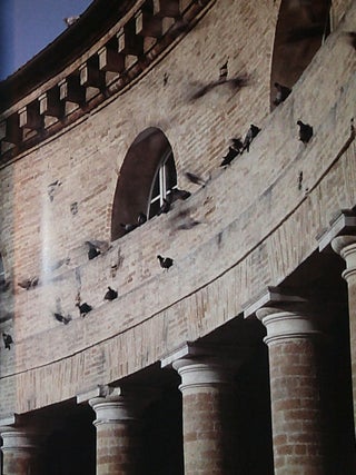 Massimo & Gabriella Carmassi; Senigallia Public Library; Introduction by Richard Ingersoll: Photographs by Mario Ciampi
