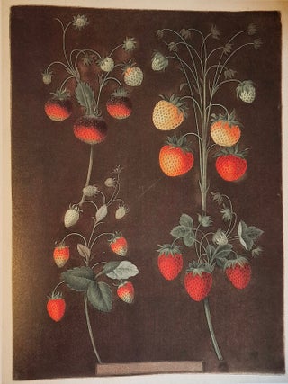 Nature Illustrated: Flowers, Plants, and Trees 1550-1900 From the Collections of The New York Public Library; Foreword by Eleanor Perenyi; Text by Bernard McTigue