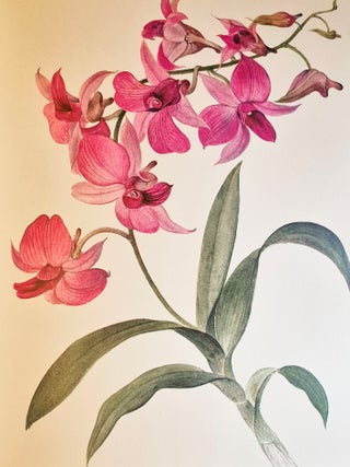 Orchids; Text by J. Oplt; Illustrations by J. Kaplicka