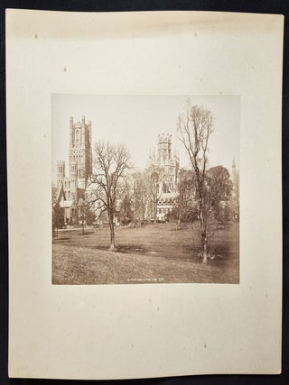 Ely Cathl. from the Park